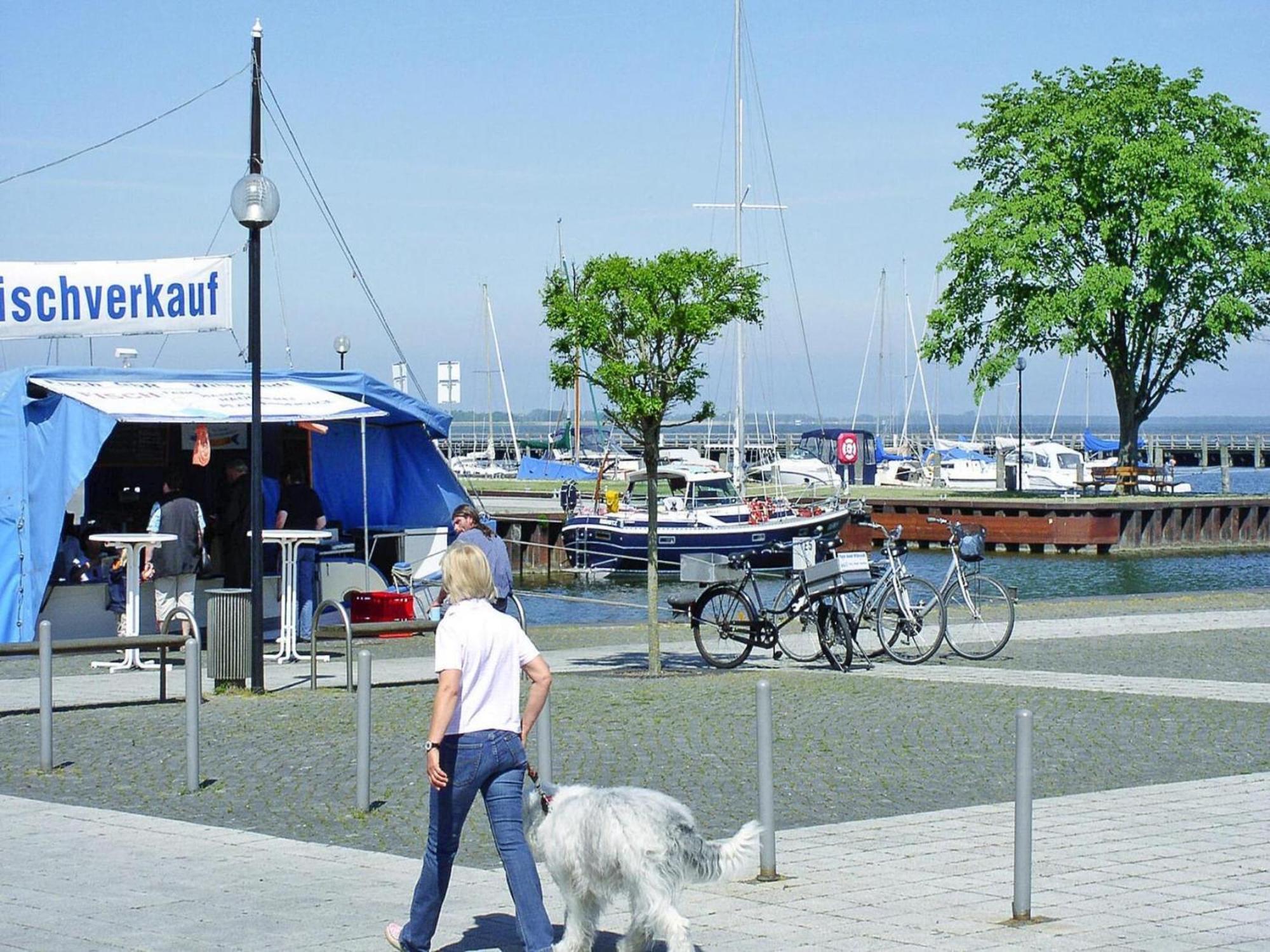 Ferienwohnung In Ribnitz-Damgarten Eksteriør bilde